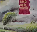 CD Single - Dirk Busch - Liebst Du Auch Den Rauhen Wind