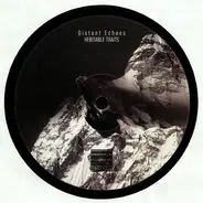 Distant Echoes - Heritable Traits