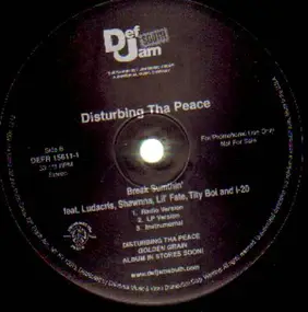 Disturbing tha Peace - Break Sumthin' / Growing Pains