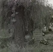 Disaster Area - Die On Your Board