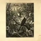 Discodeine - Singular