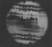 The Static Cult Label