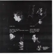 7inch Vinyl Single - Disfleisch - Hear Nothing See Nothing Say Nothing New