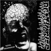 Disorder - Split