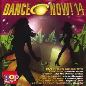 Robert Miles - Dance Now! Vol.14