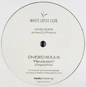 Divided Souls - Revolution