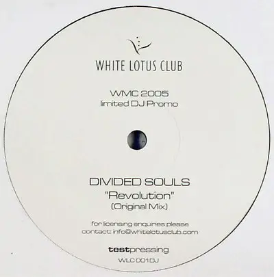 Divided Souls - Revolution