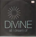 12'' - Divine - All I Dream Of