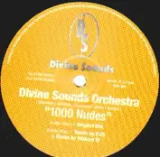 Divine Sounds Orchestra