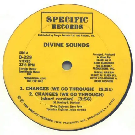 Divine Sounds - Changes / Do Or Die Bed Sty (Remix)