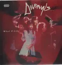 LP - Divinyls - What A Life!