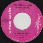 Dixie Wonders - Waiting For Me