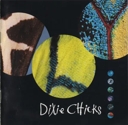 Dixie Chicks - Fly
