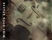 CD - Dixie Chicks - Wide Open Spaces