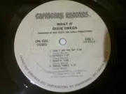 LP - Dixie Dregs - What If