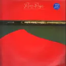 LP - Dixie Dregs - What If