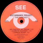 12inch Vinyl Single - Dizturbance Project - The Fantasy