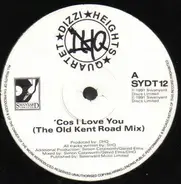 Dizzi Heights Quartet - 'Cos I Love You