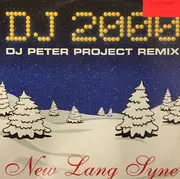 12inch Vinyl Single - DJ 2000 - New Lang Syne