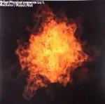 12'' - DJ T. - Radiator / Robot Riot