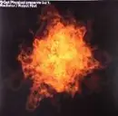 12'' - DJ T. - Radiator / Robot Riot