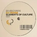 12inch Vinyl Single - DJ Tatana - Elements Of Culture