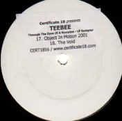 DJ Teebee - Through The Eyes Of A Scorpion (Album Sampler)