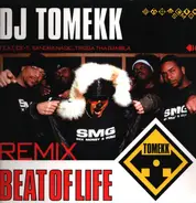 DJ Tomekk feat. Ice-T , Sandra Nasic & Trigger Tha Gambler - Beat Of Life (Remix)