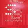 12inch Vinyl Single - DJ Toxic - It's Killing Me