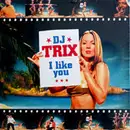 12inch Vinyl Single - DJ Trix - I Like You