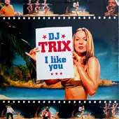 12inch Vinyl Single - DJ Trix - I Like You