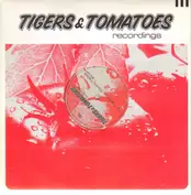 DJ Tyson vs. Toxxic Twins