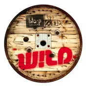 DJ Wild - Not Now I'm Dancing