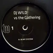 DJ Wild - In My System