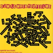 DJ Wild - When You Feel Me