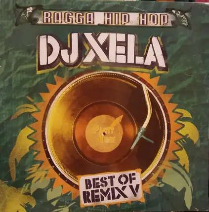 DJ Xela - Ragga Hip Hop Best Of Remix V