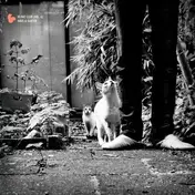 DJ Adlib - Hi-Hat Club Vol. 6 - Haus & Garten
