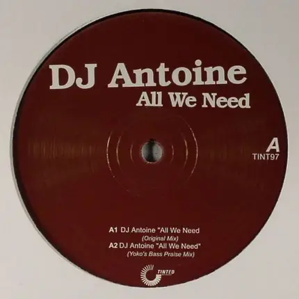 DJ Antoine / Divided - All We Need / Easy Lover