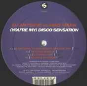 DJ Antoine - (You'Re My) Disco Sensation