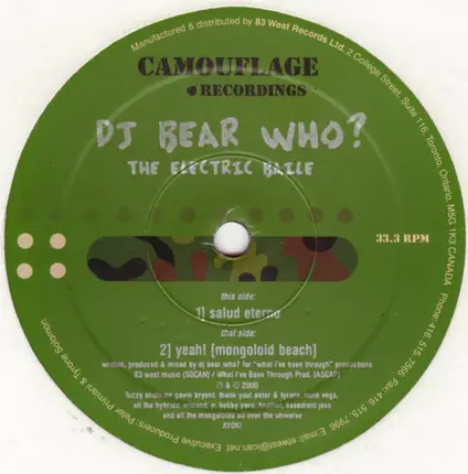 DJ Bear Who ? - The Electric Baile