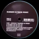 12inch Vinyl Single - DJ Cam + Anggun - Summer In Paris Remix
