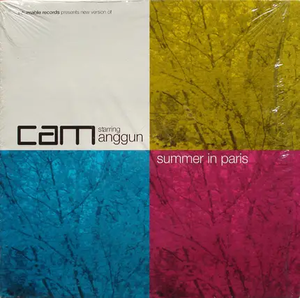 DJ Cam + Anggun - Summer In Paris Remix