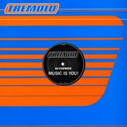 12inch Vinyl Single - DJ Caprice - Music Is You!