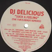 12'' - DJ Delicious - Such A Feeling (The Turtlebirds Remixes)