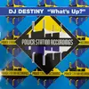 12inch Vinyl Single - DJ Destiny - What's Up? - WHITE LABELS