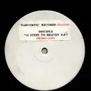 12inch Vinyl Single - DJ Disciple - The 12 Steps 2 Heaven E.P. - PROMO