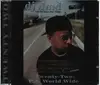 CD - DJ Dmd - Twenty-Two: P.A. World Wide