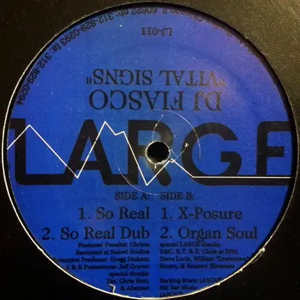 DJ Fiasco - Vital Signs