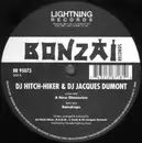 12'' - DJ Hitch-Hiker & DJ Jacques Dumont - A New Dimension / Raindrops