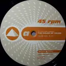 12'' - DJ Huntermaster - The House Of House